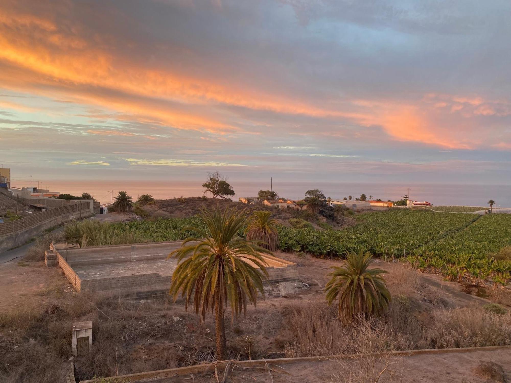 Villa Alpispa Las Palmas de Gran Canaria Eksteriør billede